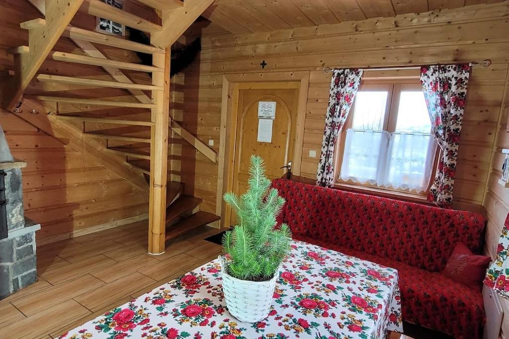 Szalas Aleksandrzak Zakopane